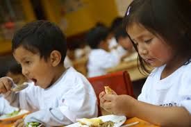 Zur Plastizität des Gehirns bei Downsyndrom-Kindern