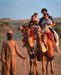 Mit der Familie auf Kamelen in Dubai