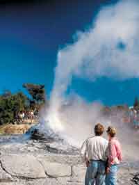 Der Lady Knox Geyser in Waiotapo auf North Island