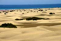 Die Dünen von Maspalomas