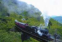 Zug im Hochland von Sri Lanka