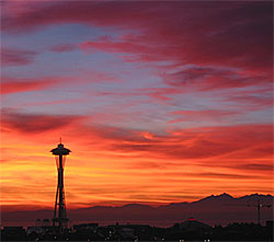 Die Space Needle in Seattle 