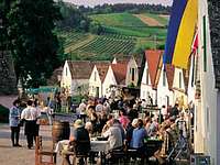 Die niederösterreichischen Schmankerln schmecken im idyllischen Ambiente der Falkensteiner Kellergassen besonders gut.