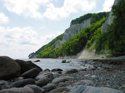 Kreidefelsen auf der Insel Rügen